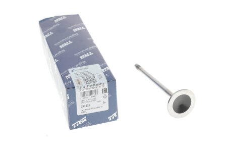 Клапан ГБЦ trw automotive 291110