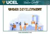 Подушка амортизатора UCEL 31920