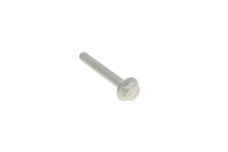 Гвинт кріплення попереч.важеля (10x76mm) Audi A3 04- VAG N10579702