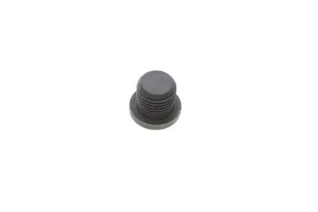 Корок зливна піддона картера VW Touareg VAG N0160276 Сеат Ибица