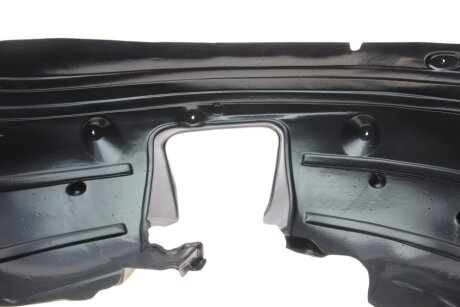 Підкрилок van Wezel 4076434