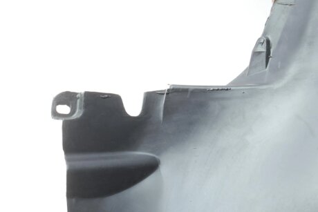 Підкрилок van Wezel DSC5896434