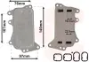 Радіатор масляний BMW 1 Serie 2.0 F20/F21 (вир-во) van wezel 06003553