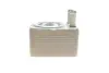 Радиатор маслянный SEAT; Volkswagen; SKODA; AUDI (пр-во) van wezel 58003093