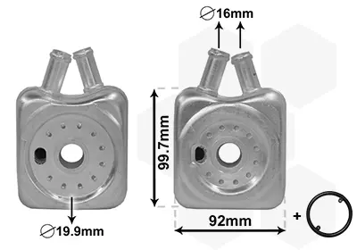 Радиатор масляный VARIOUS AUDI/VW/SKODA Van Wezel 58003215