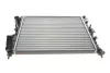 Радіатор охолодження двигуна Van Wezel 43002197 (фото 1)