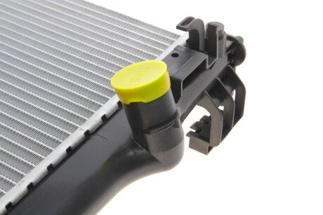 Радиатор охлаждения двигателя van Wezel 43012709