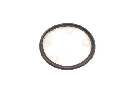 Радіатор оливи van Wezel 17003460