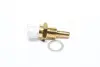 Датчик температуры жидкости Vernet vernet (Calorstat) WS2674
