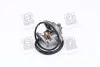 Термостат DAEWOO; MERCEDES-BENZ; SSANGYONG (пр-во Vernet) vernet (Calorstat) TH569985J
