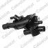 Термостат FORD/PEUGEOT ""2.0 ""03>> vernet (Calorstat) ""TH707983J"