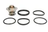 Термостат OPEL (пр-во Vernet) vernet (Calorstat) TH143992J