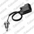 VERNET FORD Датчик температуры воды C-Max, Focus, Transit, 1,8D 99-. vernet (Calorstat) WS3109