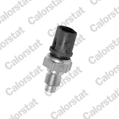 VERNET RENAULT Датчик температуры воды Clio 90- Vernet (Calorstat) WS2620 (фото 1)