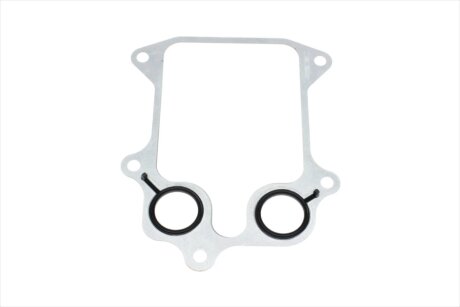 Комплект прокладок, двигатель victor Reinz 013704501