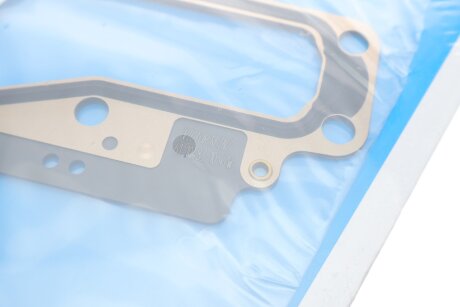 Комплект прокладок з різних матеріалів victor Reinz 081000001