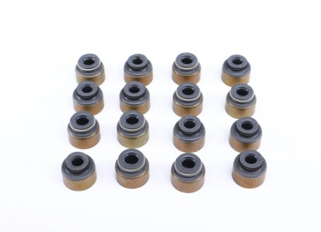 Сальники клапанов (комплект) victor Reinz 125402401