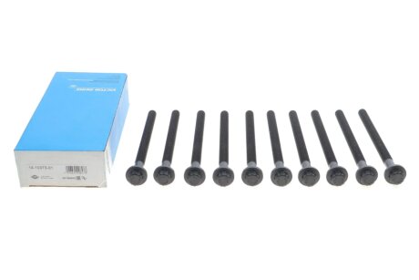 B_Комплект болтів ГБЦ Hyundai i30, ix35, i40, 1,4-1,7CRDI victor Reinz 141037301