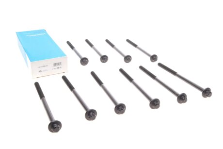 Комплект болтів двигуна з фігурною головкою victor Reinz 141039801 на Бмв F10