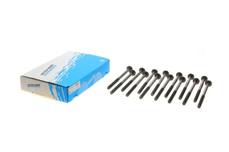 Болти головки блоку victor Reinz 141039802