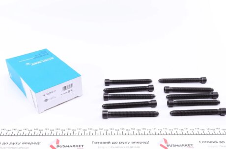 Комплект болтів двигуна з фігурною головкою victor Reinz 143205201 на Ауди А6 с5