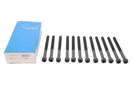 Комплект болтов ГБЦ victor Reinz 143219001