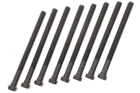 Комплект болтів двигуна з фігурною головкою victor Reinz 143219601 на Ауди А5