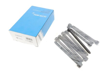 Комплект болтов ГБЦ victor Reinz 143227601 на Ауди A1