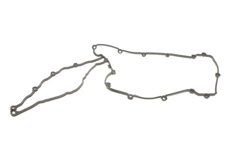 Прокладка клапанної кришки victor Reinz 711077400