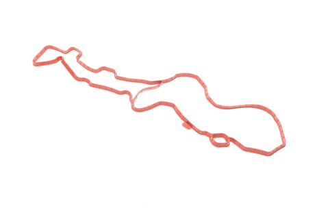 Прокладка клапанної кришки victor Reinz 711215700