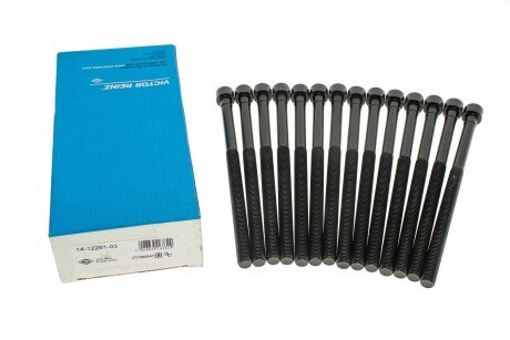 �������� ����� ��� (14��) BMW 3 (F30/F80)/5 (G30/F90)/X3 (G01/F97) 15- B46/B48 victor Reinz 141226103