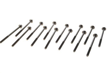 Болти головки блоку victor Reinz 141001701