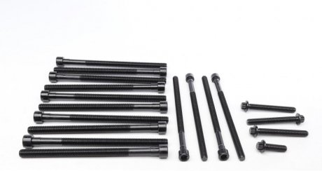 Болти головки блоку victor Reinz 141042701