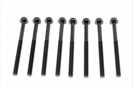 Болты ГБЦ victor Reinz 143210601