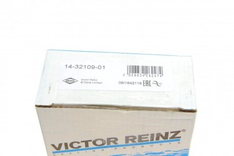 Комплект болтів двигуна з фігурною головкою victor Reinz 143210901
