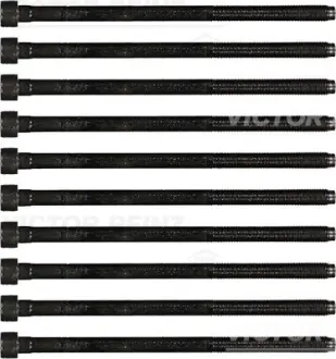 Комплект болтов ГБЦ victor reinz 14-35738-01