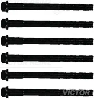 Комплект болтов головки цилидра victor reinz 143228501