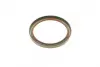 Комплект прокладок BMW M52/M54 victor reinz 082769805