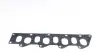 Прокладка колл. In/Ex Opel Movano/Renault Kangoo 1,9Dci 00- victor reinz 713441100