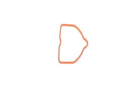 Прокладка впускного колектора victor Reinz 711082400