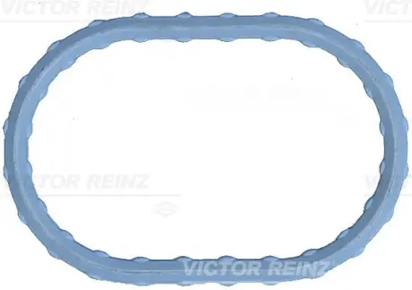 Прокладка впускного колектора victor reinz 711749800