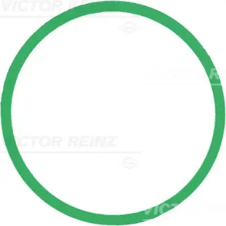 Прокладка впускного колектора Victor Reinz 71-39303-00