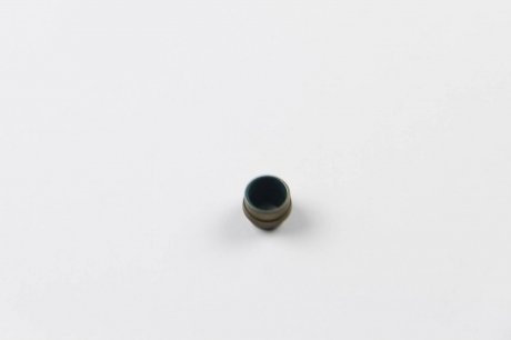 Сальник клапана уплотнительное кольцо, стержень клапана victor Reinz 702605800