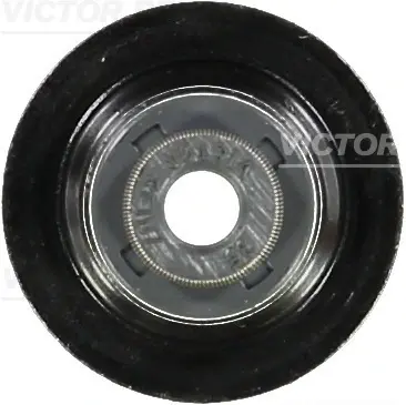 Сальники клапанів EX Mitsubishi Lancer VIII 1.8-2.4LPG 06- Victor Reinz 70-54093-00 (фото 1)