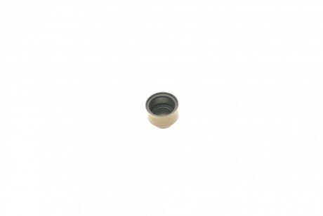 Сальники клапанов (комплект) victor Reinz 122202601