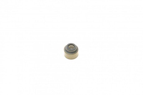 Сальники клапанов (комплект) victor Reinz 122202601