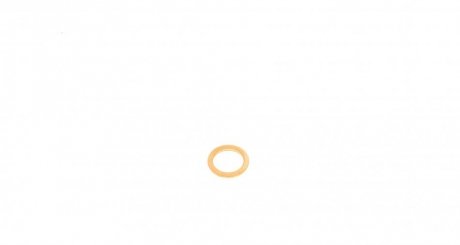 Уплотнительное кольцо, резьбовая пробка маслосливн. отверст. victor Reinz 417005900