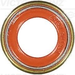 Уплотнительное кольцо, стержень кла victor Reinz 70-36004-10