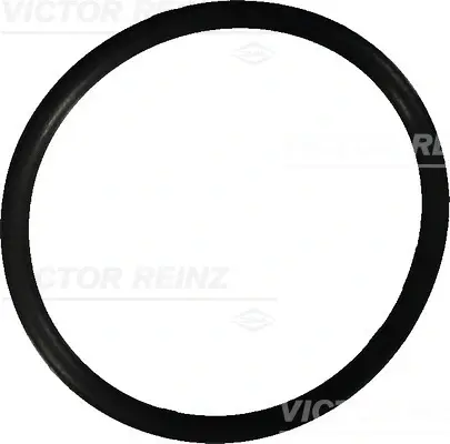 Уплотнительное кольцо Victor Reinz 40-76022-10 (фото 1)