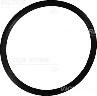 Уплотнительное кольцо Victor Reinz 40-76022-10